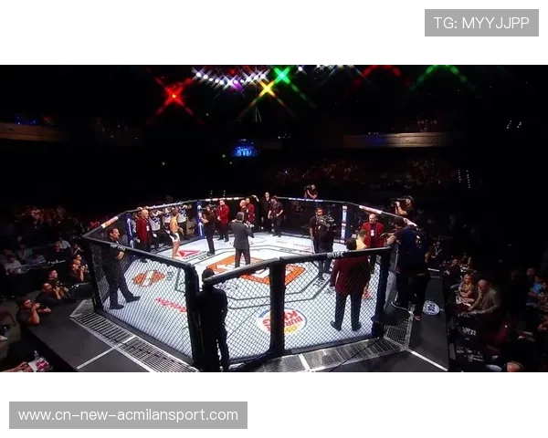 UFC对攻拳拳到肉：竞技与激情的极致碰撞