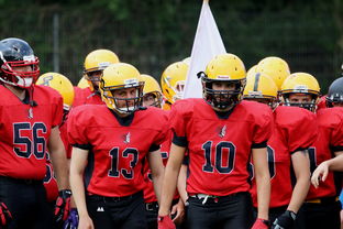 中超球员年度射门类型结构分类，足球门将射门